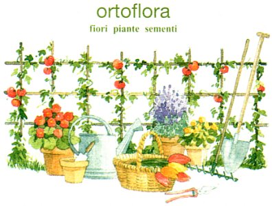 Ortoflora